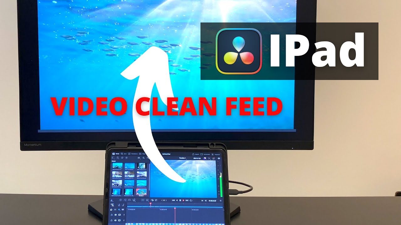 Genaue BILD-BEURTEILUNG mit DaVinci Resolve IPAD | VIDEO CLEAN FEED ...