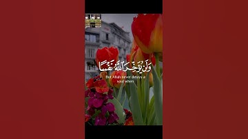 ولن يؤخر الله نفساً إذا جاء أجلها #تلاوةخاشعة