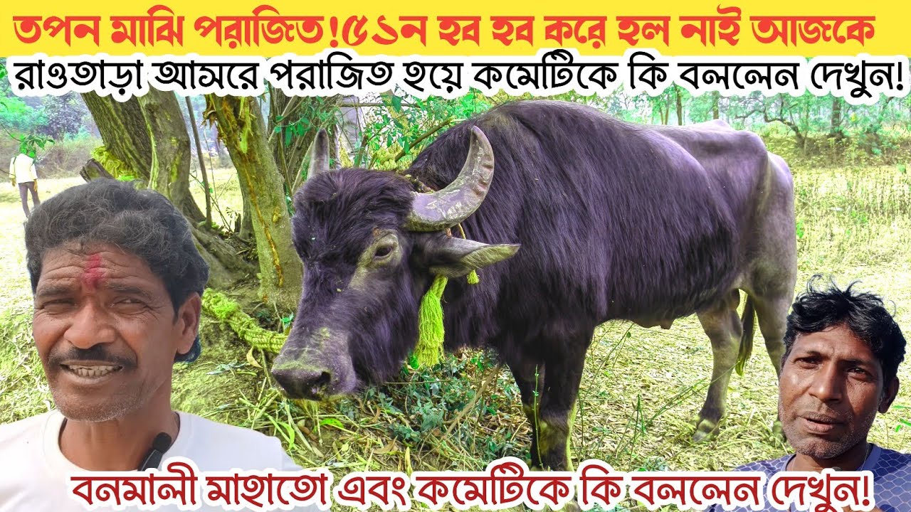 তপন মাঝি কাড়াটি বিক্রি করে দিচ্ছেন! পরাজিত হয়ে তপন মাঝি কি কি বললেন দেখুন।।