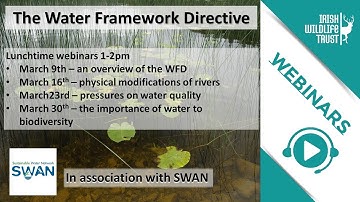 The Water Framework Directive - an Introduction