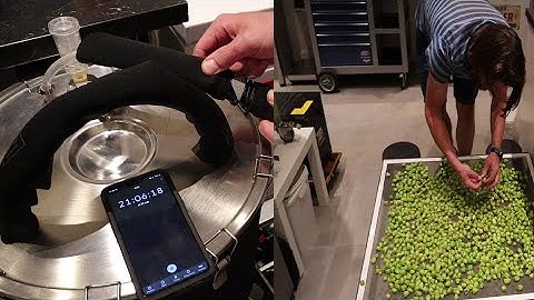 Lindr AS-40 "cold crash" 7 °C test and Cascade hop drying.