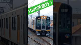 阪神1000系急行 #鉄道 #阪神本線 #電車 #阪神間 #阪神電車 #train #阪神なんば線