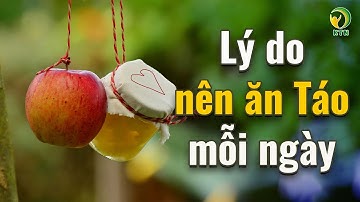 5 lý do vì sao bạn nên ăn táo thường xuyên - KHỎE TỰ NHIÊN
