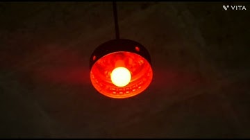 LED Bulb with Music Sync Compatible with Amazon Alexa and Google Assistant