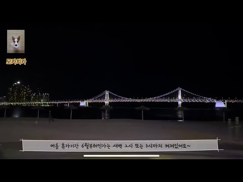 부산 광안리 해수욕장 해변도로 드라이브 영상 (feat. 광안대교)