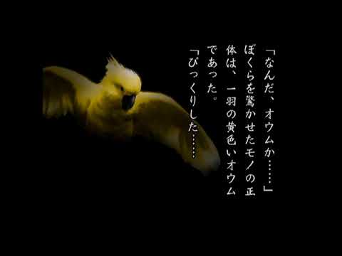 夜光虫II〜殺人航路〜