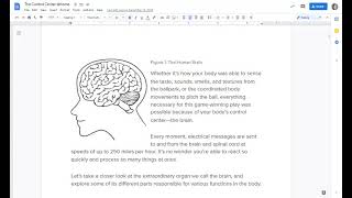 The Control Center- The Amazing Brain