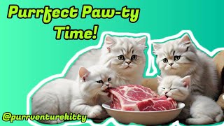 See our cute cat and kitten devouring their meaty feast! #youtubevideo
