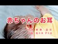 赤ちゃんのお耳|ラジオ歌謡|歌詞付き|赤ちゃんのお耳は 小さなお耳