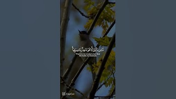 سورة- هود   إنى توكلت على الله ربى وربكم #القرآن_الكريم #اكسبلور #المسجد_الحرام #المصحف #الرحمن 🎧🍁❤️