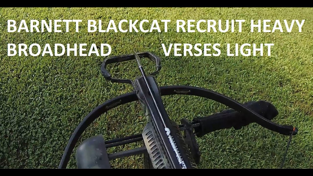 Blackcat Recruit Crossbow Heavy Broadhead verses Light Broadhead YouTube
