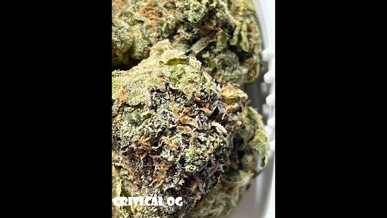 NETA dispensary critical og strain review