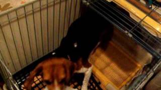 DSCF6063.AVI