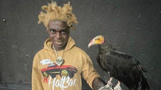 Kodak Black -  Senseless