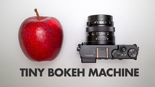 Mitakon 25mm f/0.95   Panasonic GM5 = Tiny Bokeh Machine