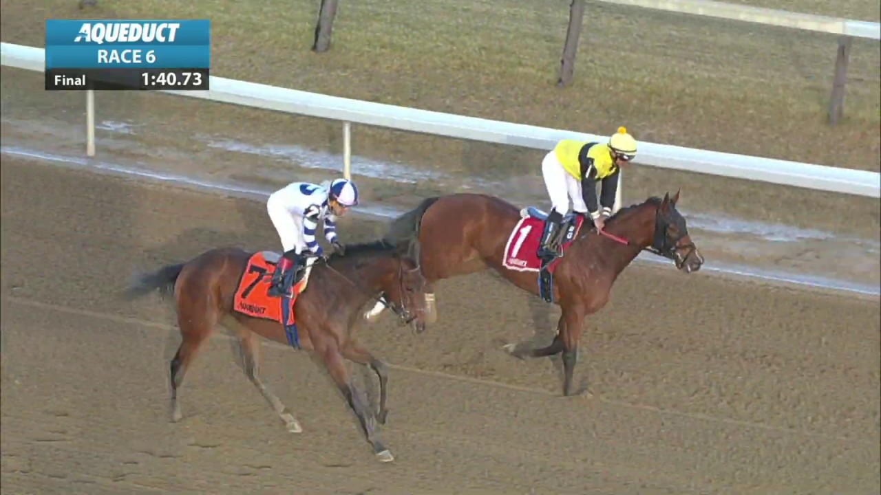 horse racing news Espresso Shot - 2018 - The East View Stakes en Espanol