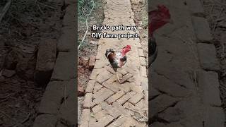 Reu sing broken bricks to make a pathway #nowaste #naturalmaterials #monsoon2024 #tamilnadu