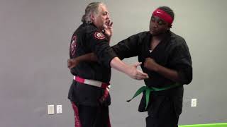 Sijo Thomas Gettling San Lung Mui Seminar 2020 - Part 1