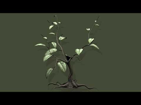 Basic tree/plant modeling 3ds max (timelapse)