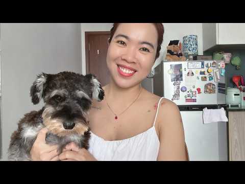Năng lượng cuộc sống của bạn từ giờ tới cuối tháng | Timeless Reading