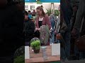 See all of the exhibits at the Philadelphia Flower Show