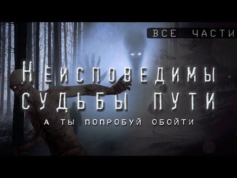 История на Ночь. НЕИСПОВЕДИМЫ СУДЬБЫ ПУТИ. ВСЕ ЧАСТИ. Улана Зорина