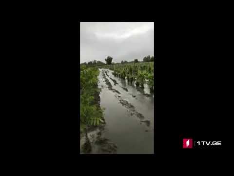 ვიდეო: დაიტბორა მდინარე ინდუსმა?