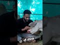 संकट में है अब गोपाल तेरा गौ वंश पुकारे रे #viral #gaumata #video