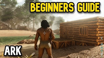 Ark Survival Ascended Beginner