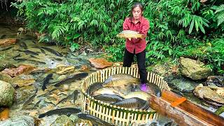 [TIMELAPSE] -- 2685 Days Using Wood And Bamboo To Create Powerful Stream Traps