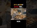 防犯カメラは見た!深夜のコンビニで起きたおでん泥棒事件
