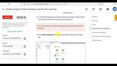 Classify Images of Cats and Dogs using Transfer Learning