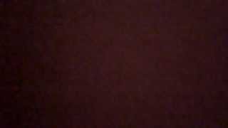 blackblood alliancen audition bloodspill