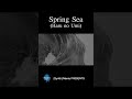 Spring Sea (Haru no UMI) #short #newyear2026 #sunoai #progressiverock