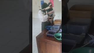 UJIAN PRAKTIK SBDP KELAS 6 SDN 11 JAMBU