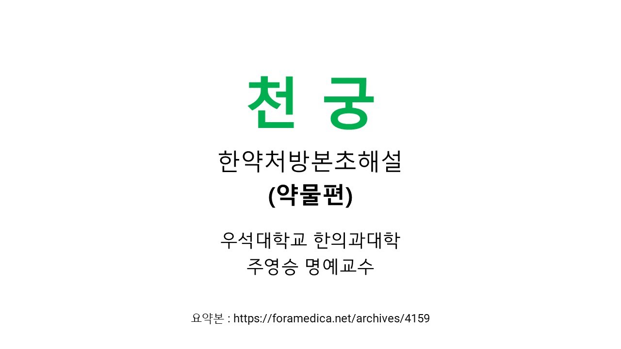 천궁(川芎) Ligustici Chuanxiong seu Officinalis Rhizoma