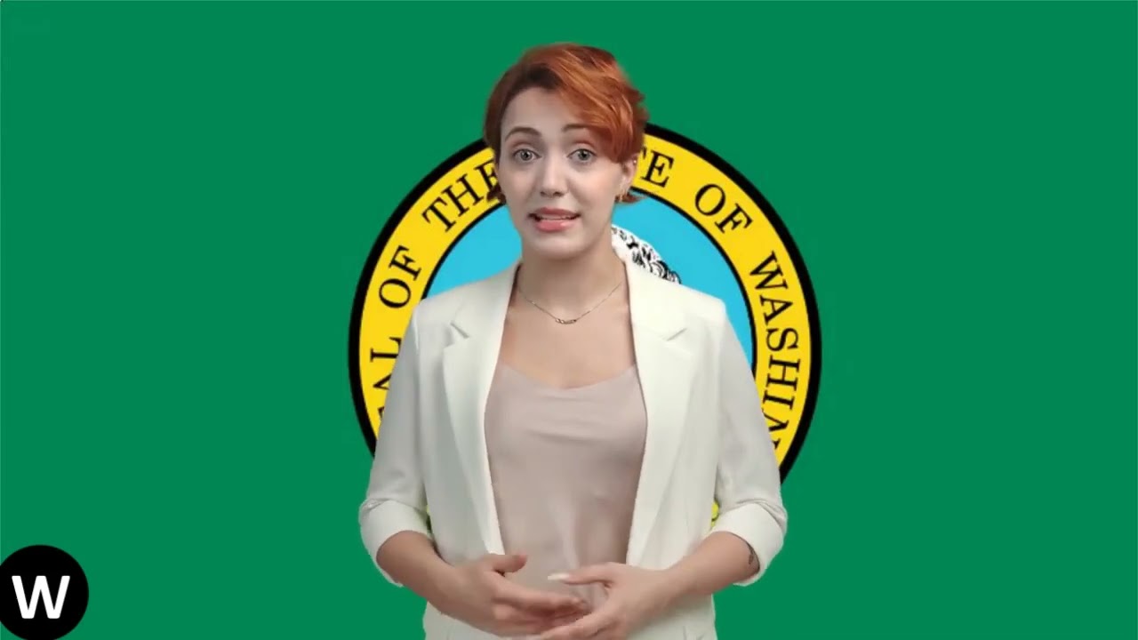 Washington State Flag