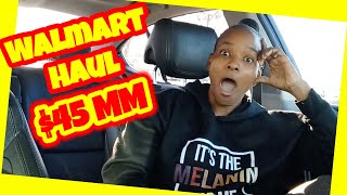 Walmart Haul 45 Money Maker