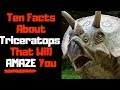 Triceratops Facts for Kids | Triceratops Facts Video