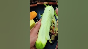 DAO BÀO ĐỨC ZWILLING 3 IN 1 ĐA NĂNG - 3