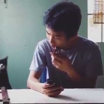 Viral: Cat playing Iphone Ringtone