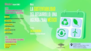 La sustentabilidad del desarrollo: una agenda para México