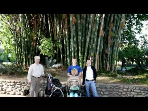 Trip to The Huntington Library, Art, and Botanical Garden (HD)