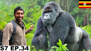 Finally My Dream Gorilla Safari in Uganda 🇺🇬 S7 EP.34 | Pakistan to South Africa