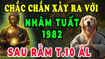Lần Đầu Tiết Lộ Sự Thật Chấn Động: Nhâm Tuất 1982 Sau Rằm Tháng 10 ÂL 3 Bẫy Cực Sốc Chắc Chắn Xảy Ra