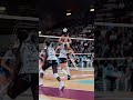 ⭐️Next season stars: SARAH VAN AALEN🏐🙌🏻 #volley #pallavolo #volleyball #seriea1tigotà