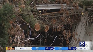 Evaluating your trees before and after high winds