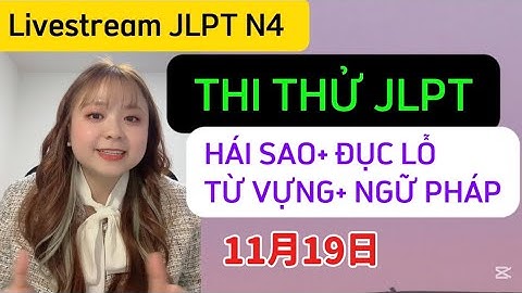 Thi thử JLPT N4 (Từ Vựng, Ngữ Pháp, Hái Sao, Đục Lỗ)