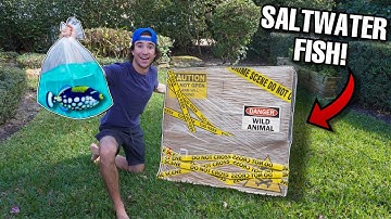 Unboxing LIVE FISH MYSTERY BOX For My Aquarium!! *what