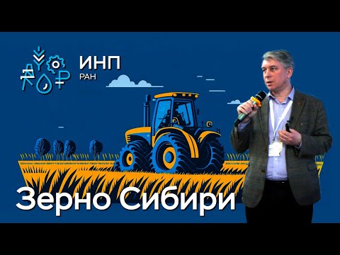 Зерно Сибири: перспективы производства и экспорта